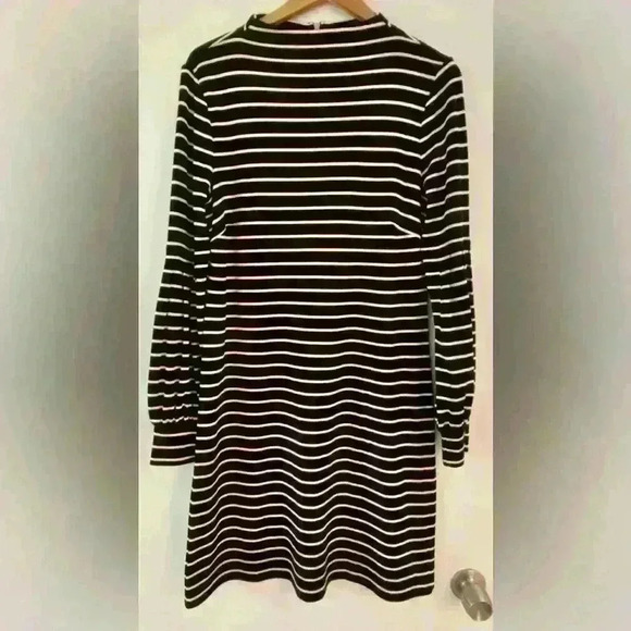 Ann Taylor Dress Womens Size Medium Black & White Stripe Long Balloon Sleeves - Picture 3 of 9